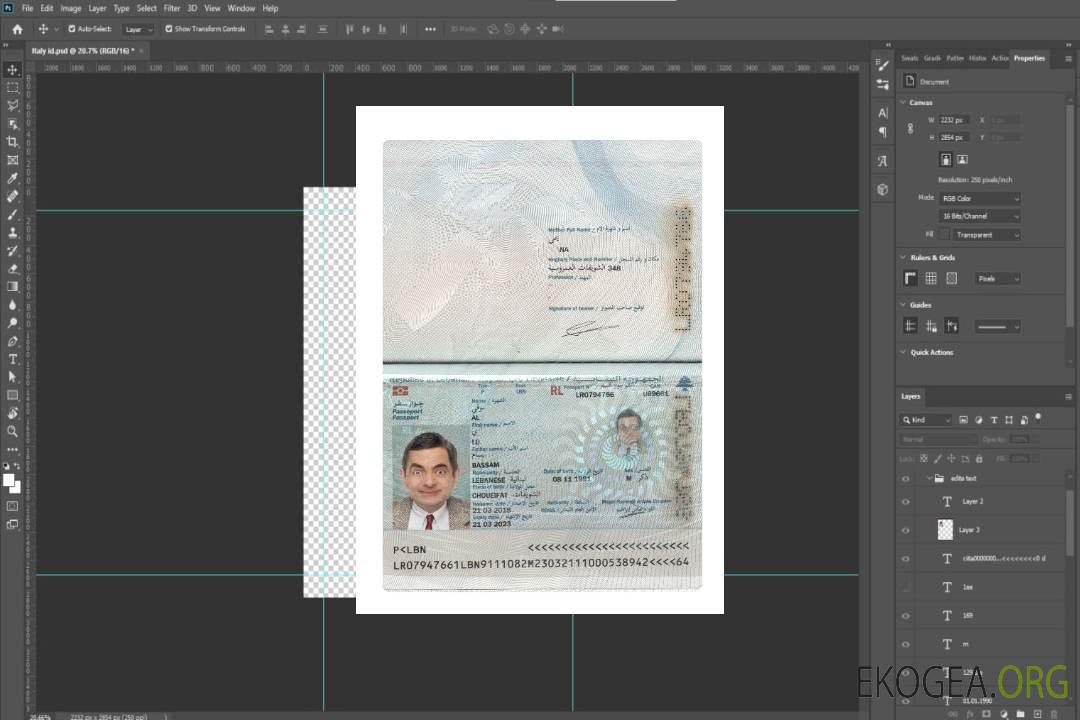 Passeport du Liban 2018-présent template